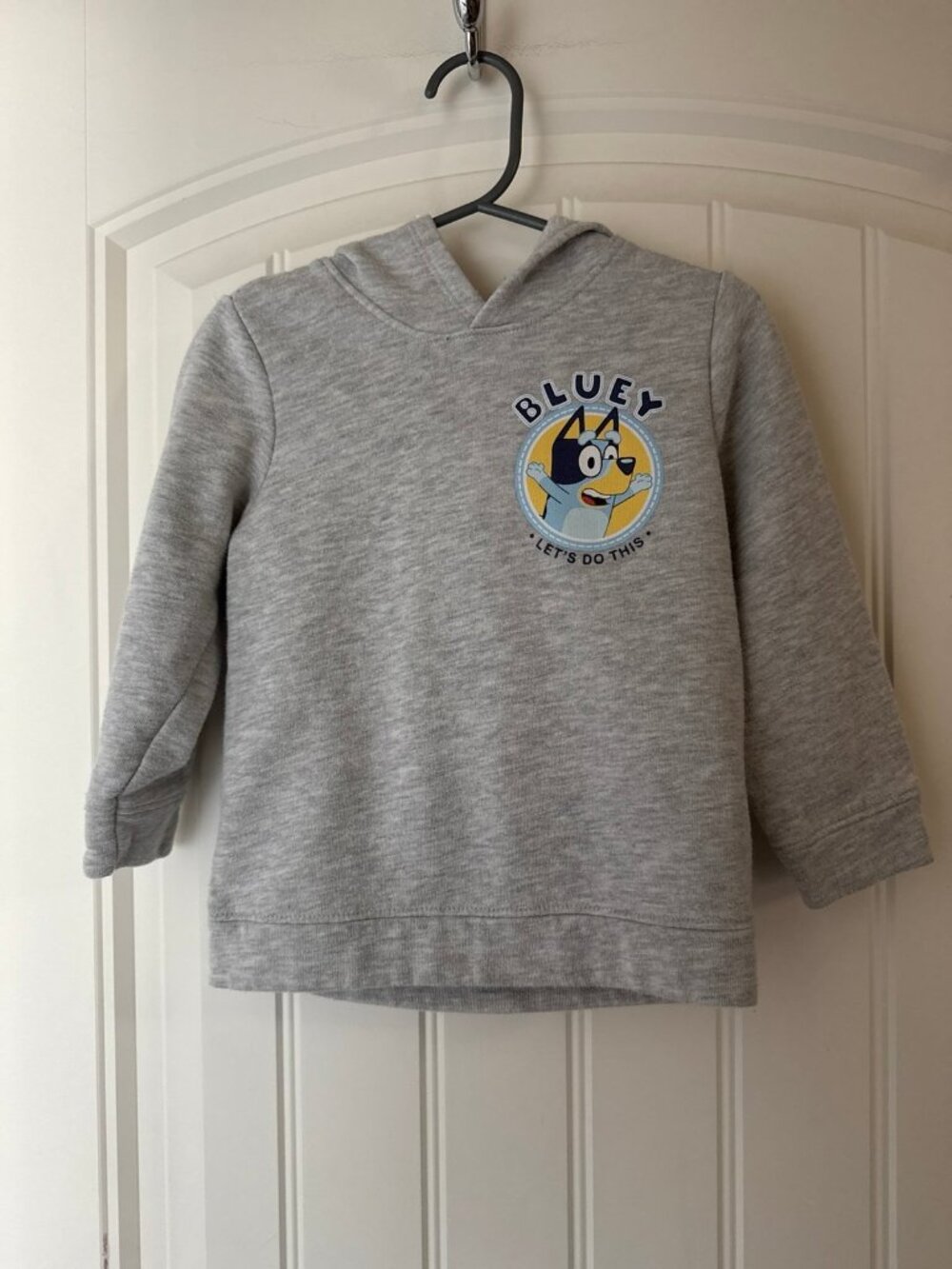 3T  gray BLUEY Hoodie